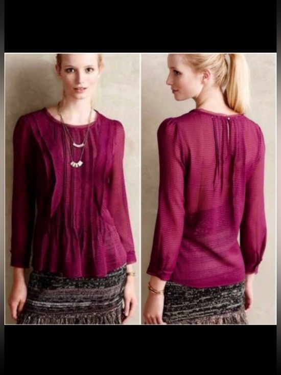 Anthropologie Tops - HD in Paris Plum Textured Ruffle sheer Blouse S
8